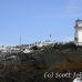 lighthouse_island_seal_machias_h_2252_can1370.jpg